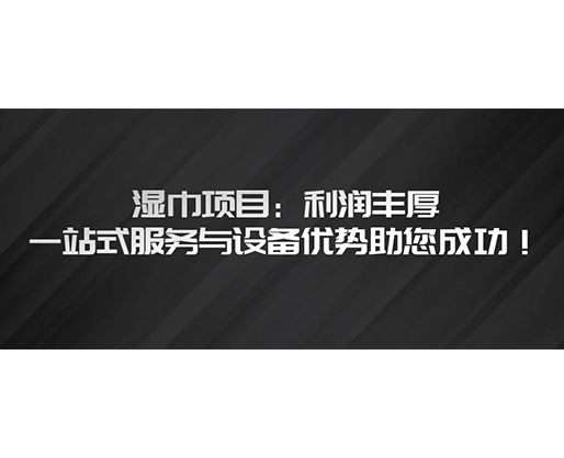 濕巾項目：利潤豐厚，一站式服務(wù)與設(shè)備優(yōu)勢助您成功！